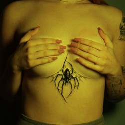spider on chest