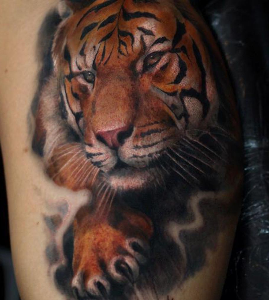 Best Tiger Tattoos Check These Stunning Design Ideas