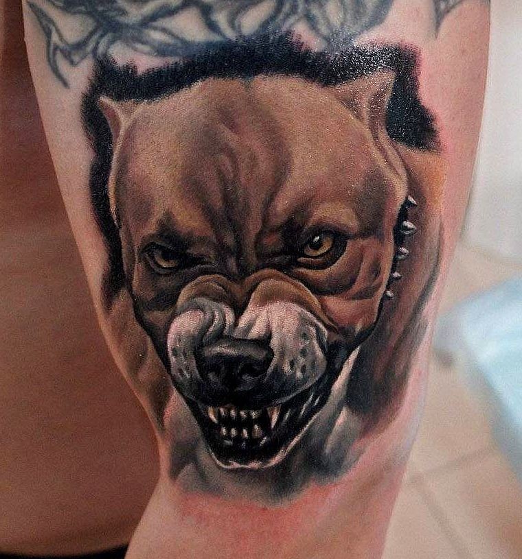 dogs tattoo celebrities tattoo