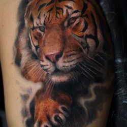Best Tiger Tattoos Check These Stunning Design Ideas