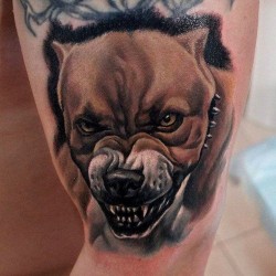 dogs tattoo celebrities tattoo
