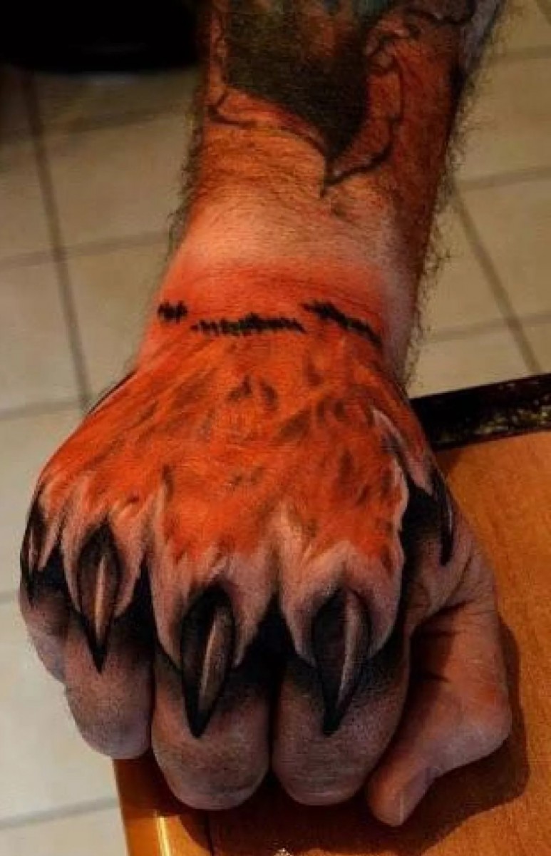 hand paw