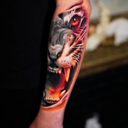 tiger head on hand