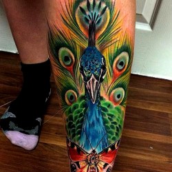 peacock tattoo calf picture tattoo