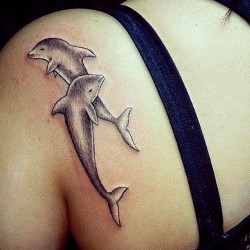 two dolphin tattoo