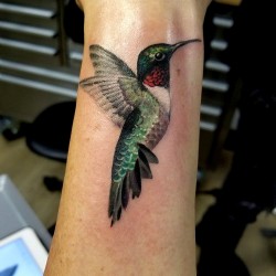 3d hummingbird tattoos realistic images on pintere