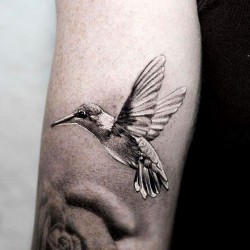 hummingbird tattoo get an inkget an ink