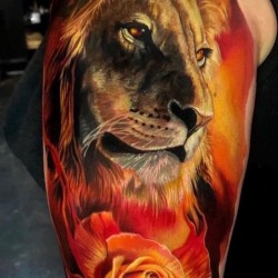lion and rose tattoo on shoulder