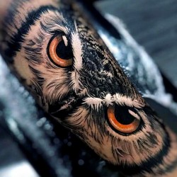 owl eyes tattoo by daniel bedoya