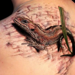 lizard tattoo magnum