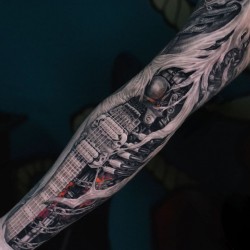 biomechanical arm