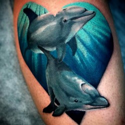dolphin tattoo photo heart love