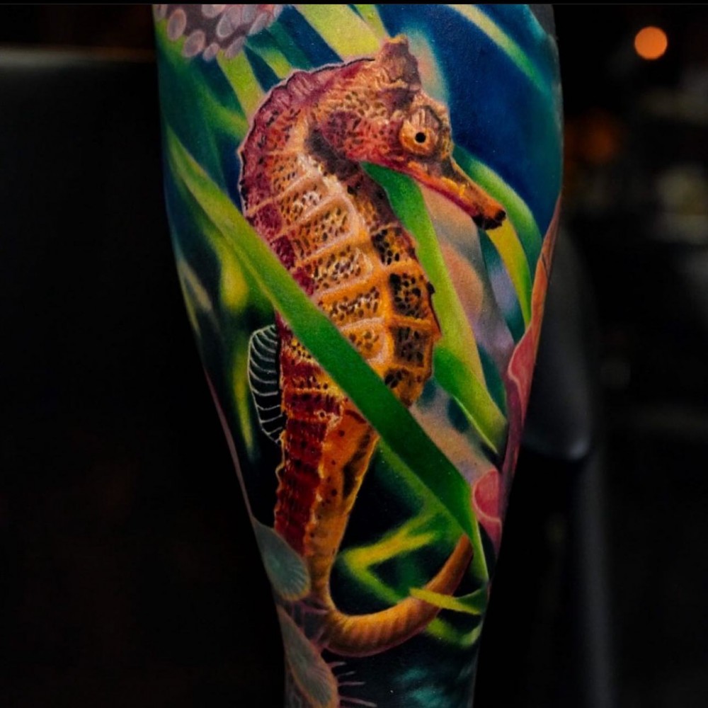 colorful seahorse