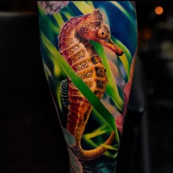 colorful seahorse