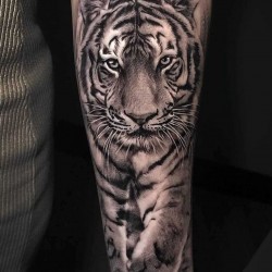 white tattoo realistic tiger