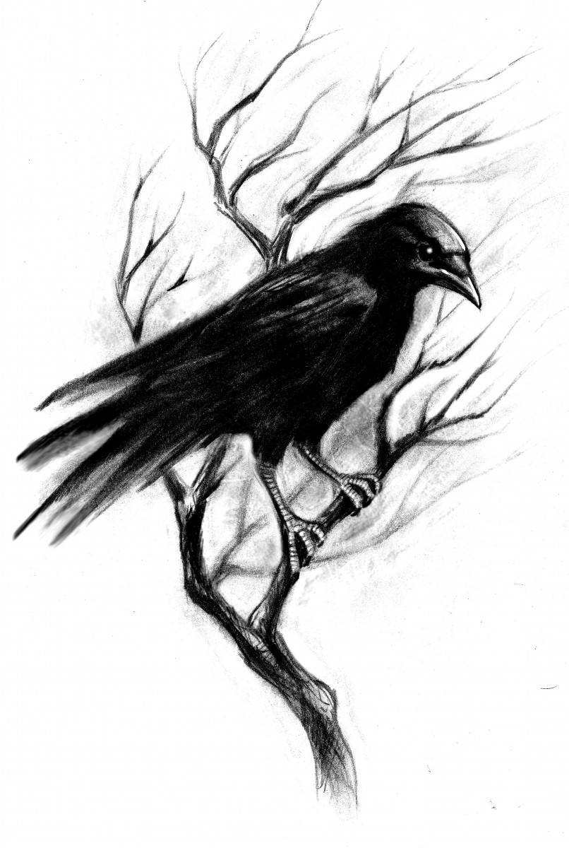 crow tattoo images designs
