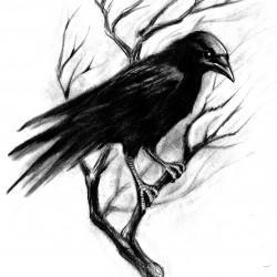 crow tattoo images designs