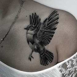 photo tattoo sparrow