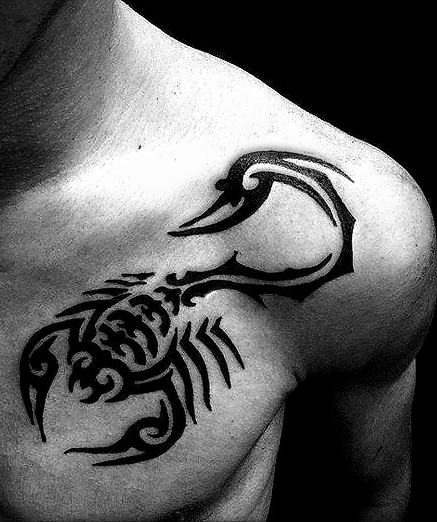 scorpion tattoo on chest tatufot