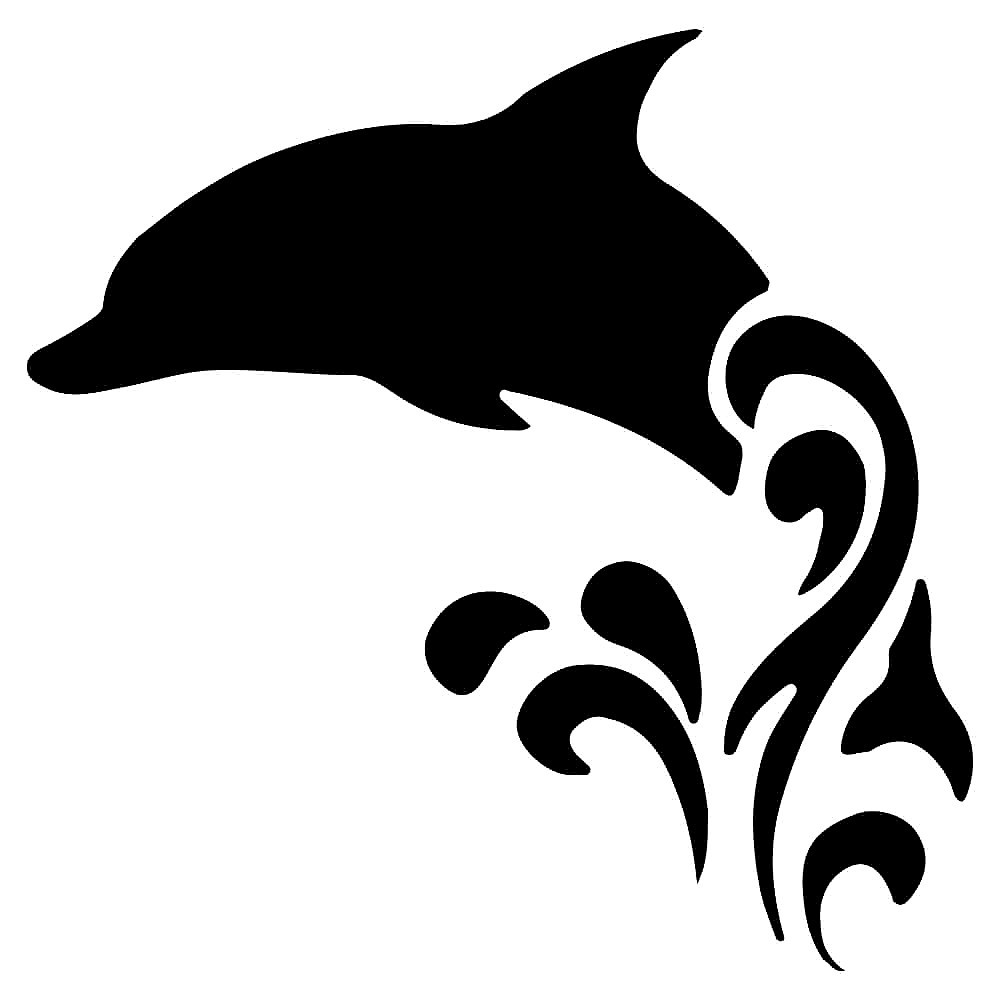 dolphin tg vinyl