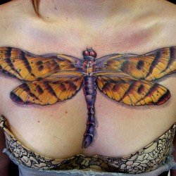 dragonfly on chest