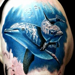 dolphins tattoos on shoulder