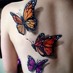 nice 3 butterfly on back
