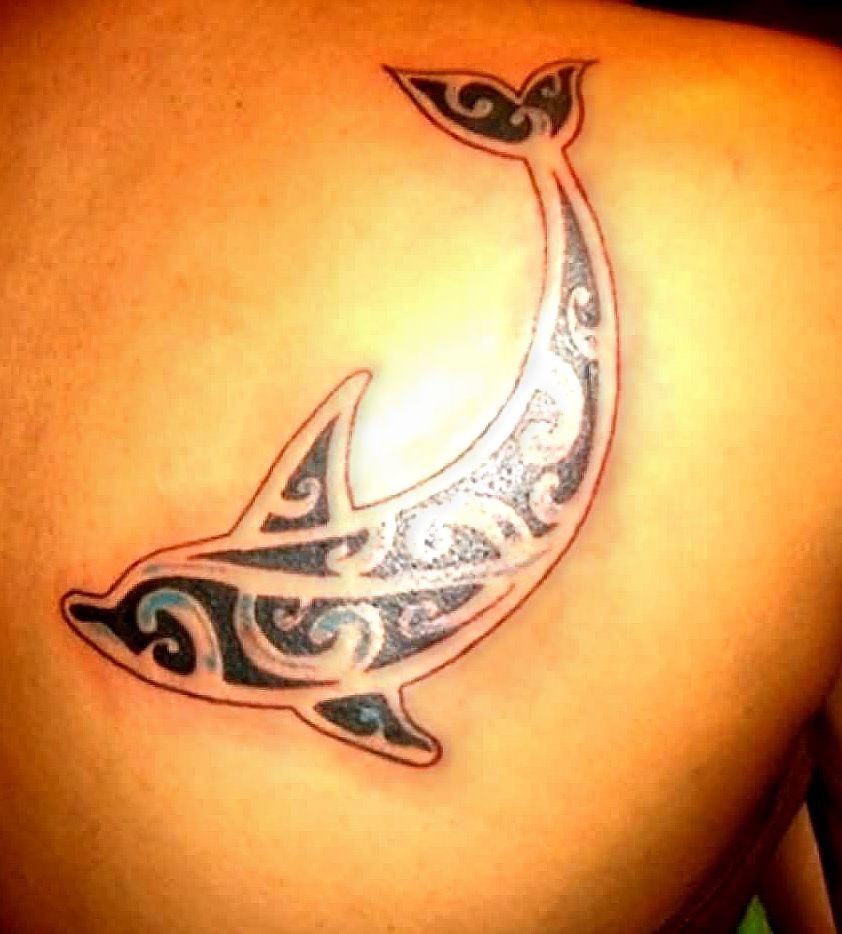 dolphin tribal tattoo images designs