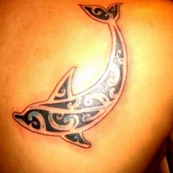 dolphin tribal tattoo images designs