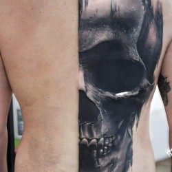 half of a human skull