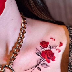 red rose on the collarbone,rose
