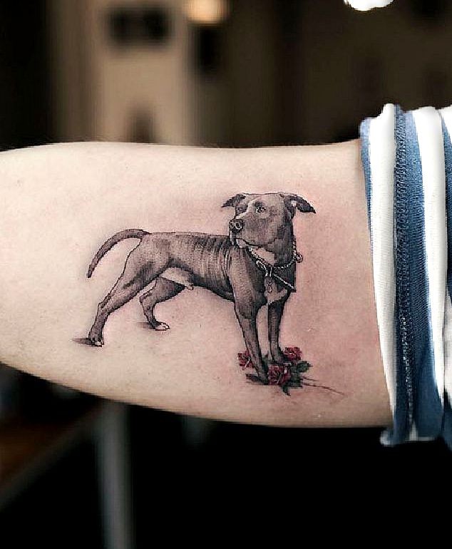 pin auf lexa dog tattoo