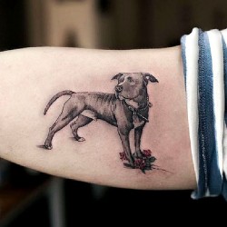 pin auf lexa dog tattoo