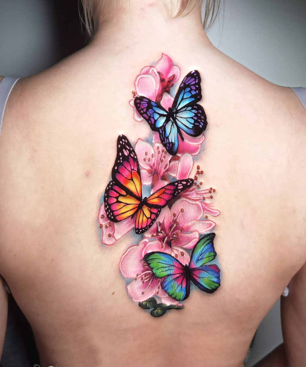 colorful butterflies and pink flowers