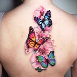 colorful butterflies and pink flowers