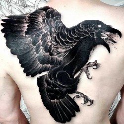 one shot crow thanks matthieu