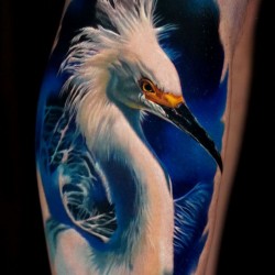 crane tattooed on the calf