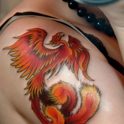 phoenix bird tattoo