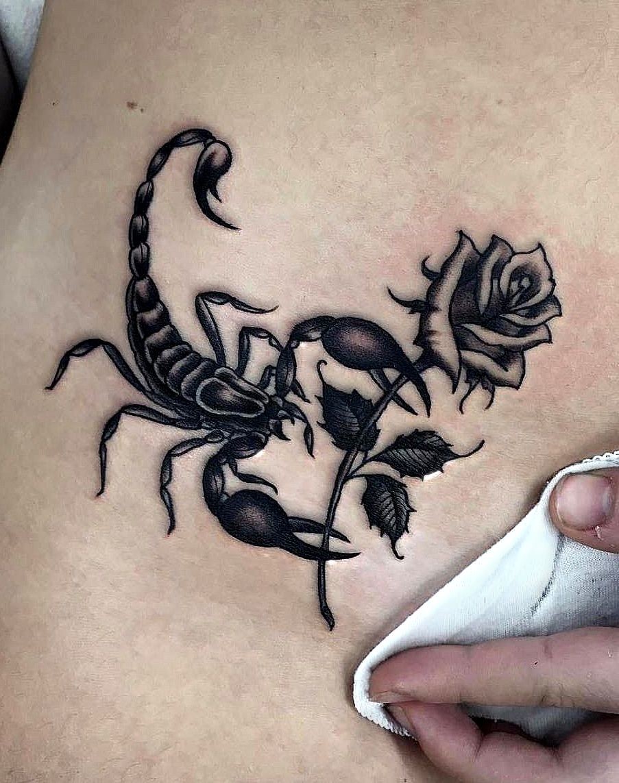 scorpion and rose by al pomeroy