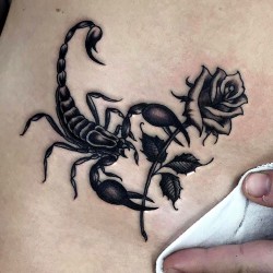 scorpion and rose by al pomeroy