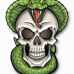 white skull and green snake tattoo design