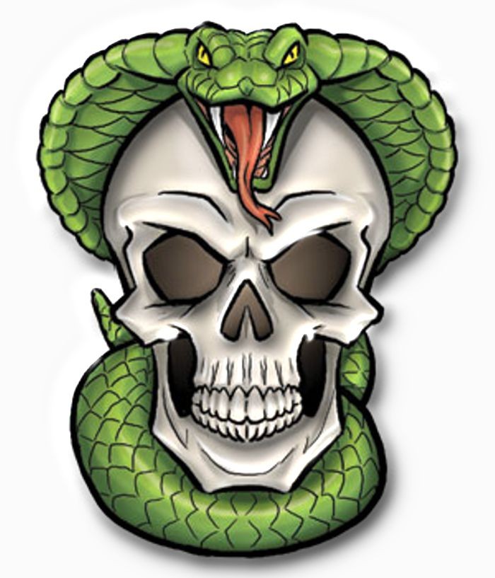 white skull and green snake tattoo design