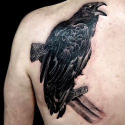 black crow on back