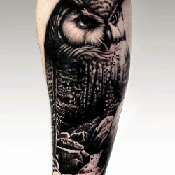 pin on owl tattoos design ideas