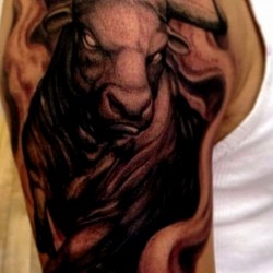 taurus tattoos bull tattoos taurus bull