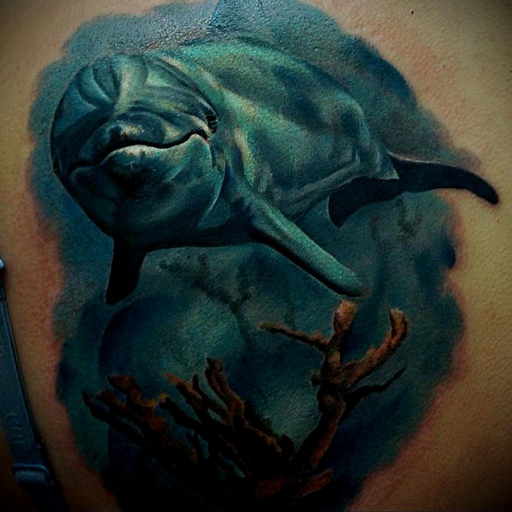dolphin tattoo photoon arm