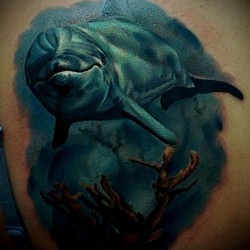 dolphin tattoo photoon arm