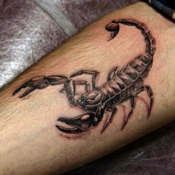 forearm 3d scorpion tattoo