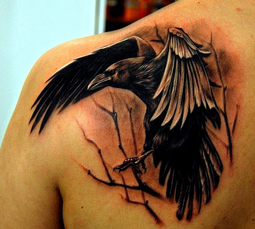 art oh tattoo salon chelyabinsk crow