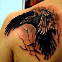 art oh tattoo salon chelyabinsk crow